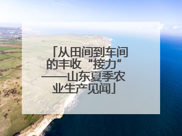 从田间到车间的丰收“接力”——山东夏季农业生产见闻