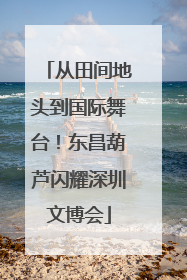 从田间地头到国际舞台！东昌葫芦闪耀深圳文博会