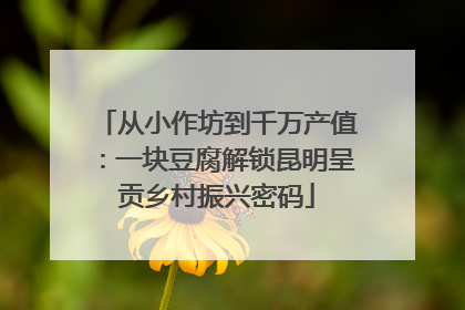 从小作坊到千万产值：一块豆腐解锁昆明呈贡乡村振兴密码