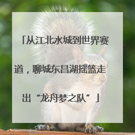 从江北水城到世界赛道，聊城东昌湖摇篮走出“龙舟梦之队”