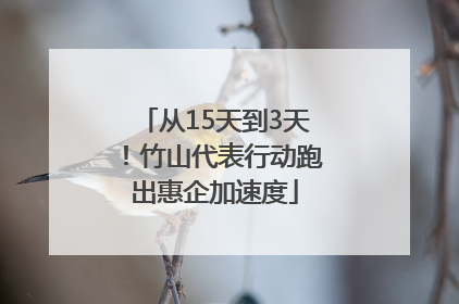 从15天到3天！竹山代表行动跑出惠企加速度