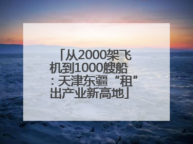 从2000架飞机到1000艘船：天津东疆“租”出产业新高地