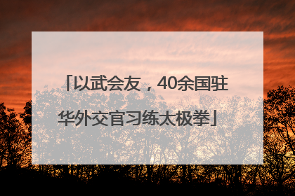 以武会友，40余国驻华外交官习练太极拳