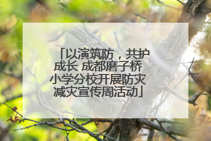以演筑防，共护成长 成都磨子桥小学分校开展防灾减灾宣传周活动