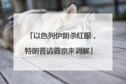 以色列伊朗杀红眼，特朗普请普京来调解