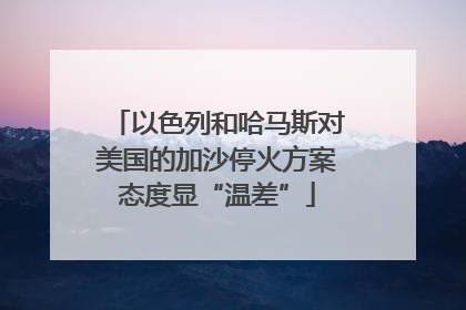 以色列和哈马斯对美国的加沙停火方案态度显“温差”