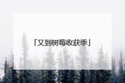 又到树莓收获季