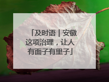 及时语｜安徽这项治理，让人有面子有里子