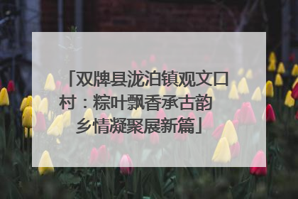 双牌县泷泊镇观文口村：粽叶飘香承古韵 乡情凝聚展新篇
