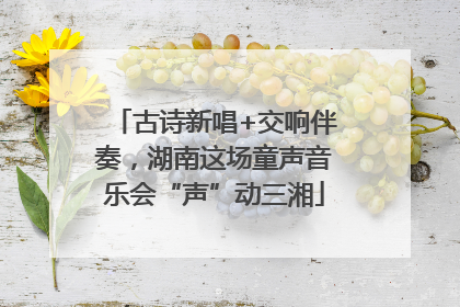 古诗新唱+交响伴奏，湖南这场童声音乐会“声”动三湘