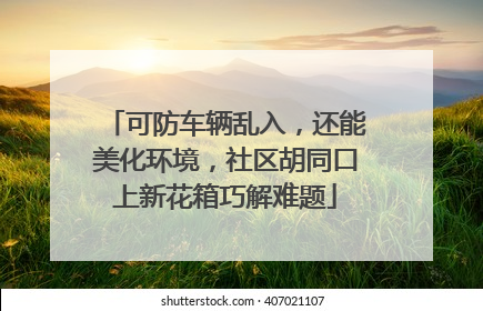 可防车辆乱入，还能美化环境，社区胡同口上新花箱巧解难题