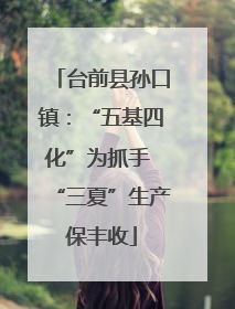 台前县孙口镇：“五基四化”为抓手 “三夏”生产保丰收