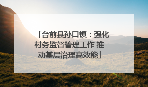 台前县孙口镇：强化村务监督管理工作 推动基层治理高效能