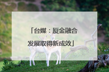 台媒：厦金融合发展取得新成效