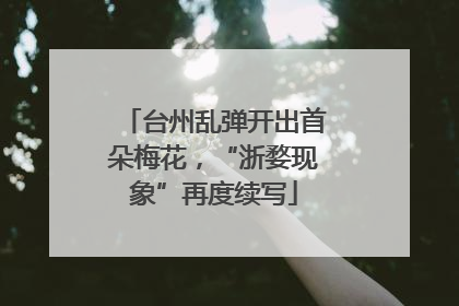 台州乱弹开出首朵梅花，“浙婺现象”再度续写