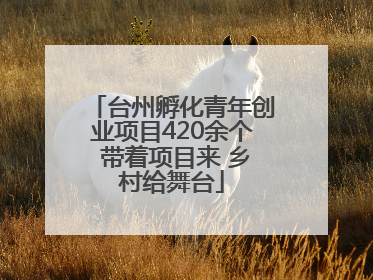 台州孵化青年创业项目420余个 带着项目来 乡村给舞台