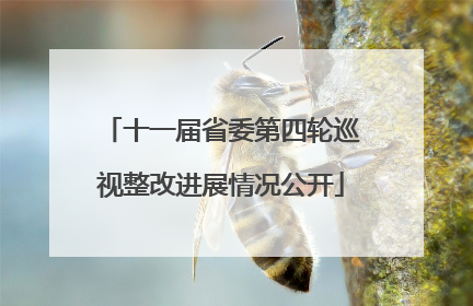 十一届省委第四轮巡视整改进展情况公开