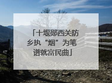 十堰郧西关防乡执“烟”为笔 谱就富民曲