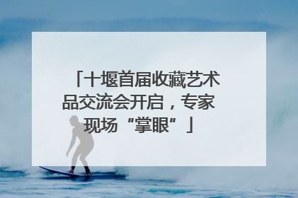 十堰首届收藏艺术品交流会开启，专家现场“掌眼”