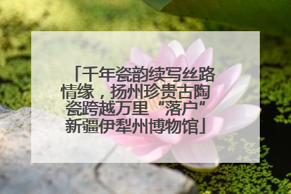 千年瓷韵续写丝路情缘，扬州珍贵古陶瓷跨越万里“落户”新疆伊犁州博物馆