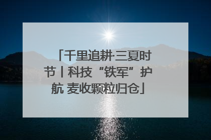 千里追耕·三夏时节丨科技“铁军”护航 麦收颗粒归仓