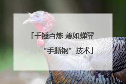 千锤百炼 薄如蝉翼——“手撕钢”技术