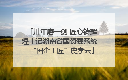 卅年磨一剑 匠心铸辉煌丨记湖南省国资委系统“国企工匠”虞孝云