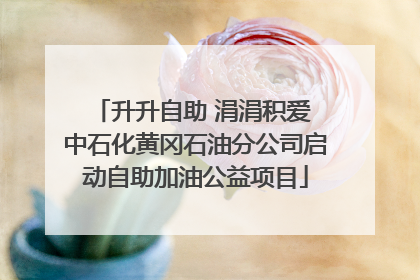 升升自助 涓涓积爱 中石化黄冈石油分公司启动自助加油公益项目