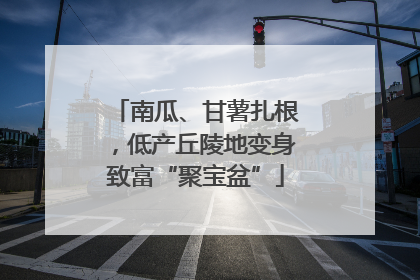 南瓜、甘薯扎根，低产丘陵地变身致富“聚宝盆”