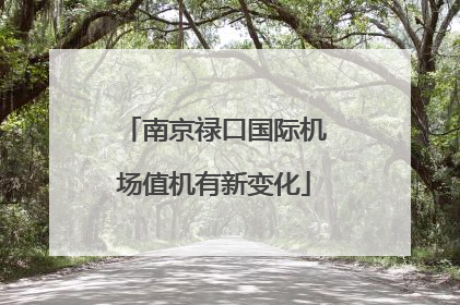 南京禄口国际机场值机有新变化