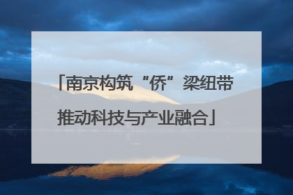 南京构筑“侨”梁纽带推动科技与产业融合