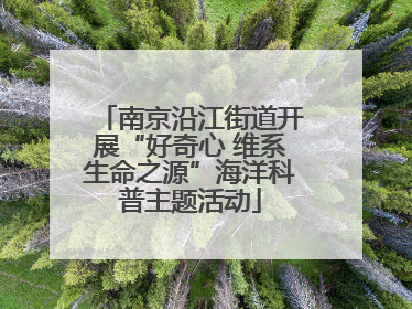 南京沿江街道开展“好奇心 维系生命之源”海洋科普主题活动