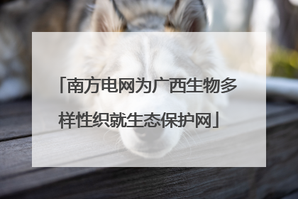 南方电网为广西生物多样性织就生态保护网