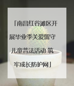 南昌红谷滩区开展毕业季关爱留守儿童普法活动 筑牢成长防护网