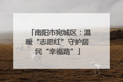 南阳市宛城区：温暖“志愿红”守护居民“幸福路”