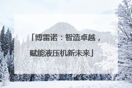 博雷诺：智造卓越，赋能液压机新未来