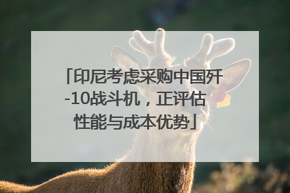 印尼考虑采购中国歼-10战斗机，正评估性能与成本优势