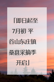 即日起至7月初 平谷山东庄镇桑葚采摘季开启