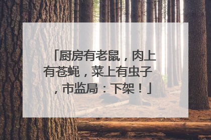 厨房有老鼠，肉上有苍蝇，菜上有虫子，市监局：下架！