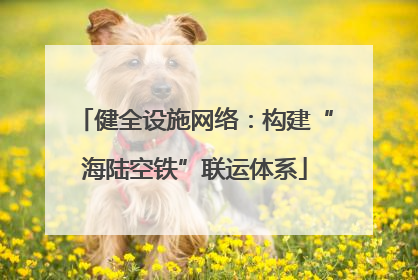 健全设施网络：构建“海陆空铁”联运体系