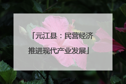 元江县：民营经济推进现代产业发展