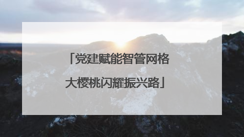 党建赋能智管网格 大樱桃闪耀振兴路