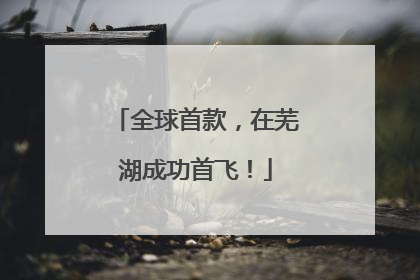 全球首款，在芜湖成功首飞！