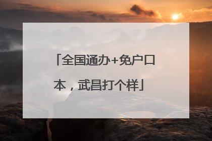 全国通办+免户口本，武昌打个样