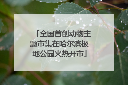 全国首创动物主题市集在哈尔滨极地公园火热开市