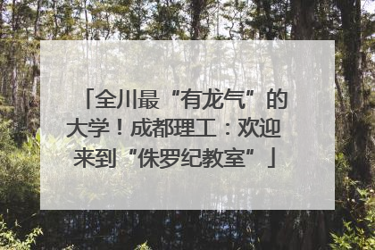 全川最“有龙气”的大学！成都理工：欢迎来到“侏罗纪教室”