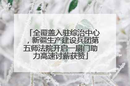 全覆盖入驻综治中心，新疆生产建设兵团第五师法院开启一扇门助力高速讨薪获赞
