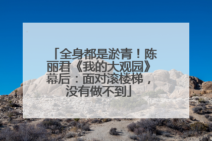全身都是淤青！陈丽君《我的大观园》幕后：面对滚楼梯，没有做不到