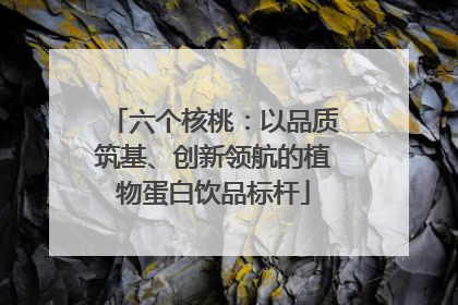 六个核桃：以品质筑基、创新领航的植物蛋白饮品标杆