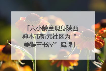 六小龄童现身陕西神木市新元社区为“美猴王书屋”揭牌